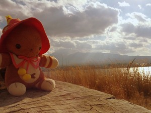 タイニー新年_1