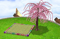￼ 梅の木+畳の飾り台