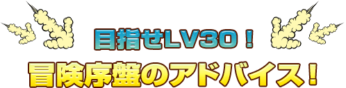 目指せLV30！冒険序盤のアドバイス！