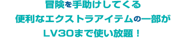 冒険を手助けしてくる便利なエクストラアイテムの一部がLV30まで使い放題！