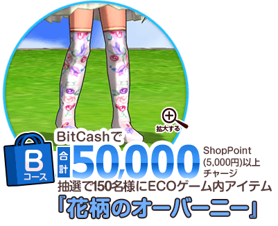 Bコース BitCashで合計50,000Shop Point（5,000円）以上チャージ 抽選で150名様にECOゲーム内アイテム『花柄のオーバーニー』をプレゼント