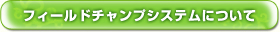 フィールドチャンプシステムについて