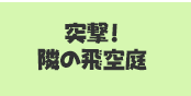 [自慢の飛空庭を披露しよう!突撃!隣の飛空艇]