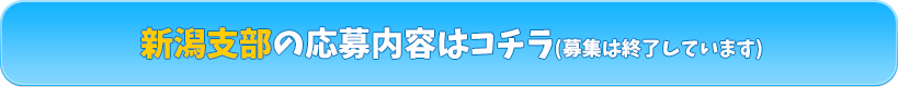 新潟応募内容