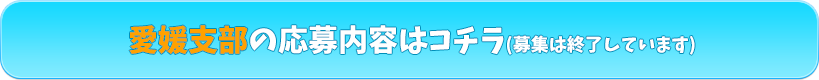 愛媛応募内容