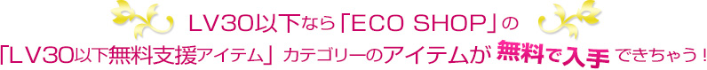 LV30以下なら「ＥＣＯ ＳＨＯＰ」の「ＬＶ30以下無料支援アイテム」カテゴリーのアイテムが無料で入手できちゃう！