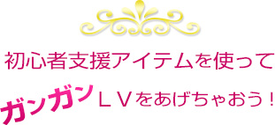 初心者支援アイテムを使ってガンガンＬＶをあげちゃおう！