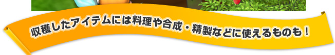 収穫したアイテムには料理や合成・精製などに使えるものも！