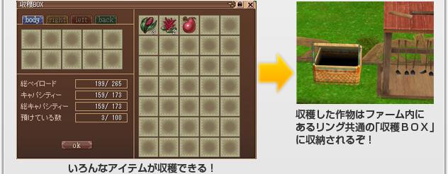 いろんなアイテムが収穫できる！　収穫した作物はファーム内にあるリング共通の「収穫ＢＯＸ」に収納されるぞ！