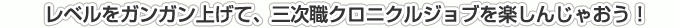 レベルをガンガン上げて、三次職クロニクルジョブを楽しんじゃおう！