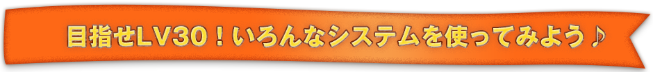 目指せLV30！いろんなシステムを使ってみよう♪