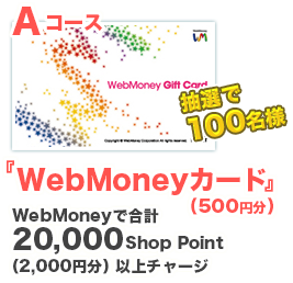 抽選で100名様『WebMoneyカード（500円分）』
